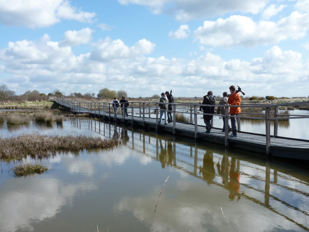 Accueil Ville de Séné