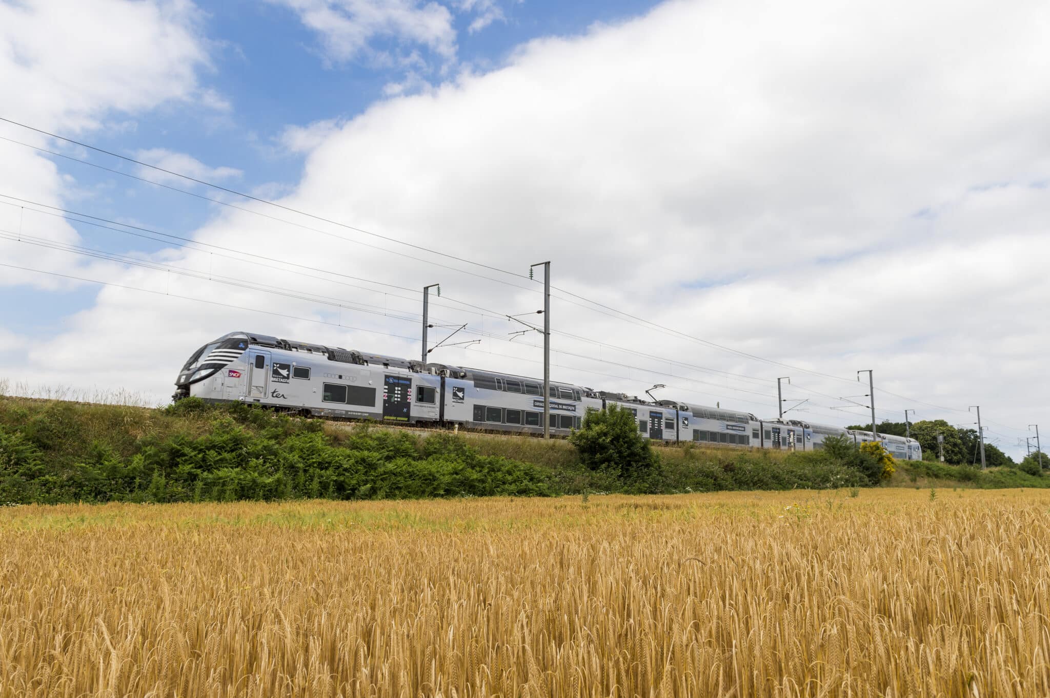 Train traversant un champ